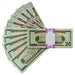 $20 United States New Series Full Print Premier Prop Money Stack - Prop Money Inc.