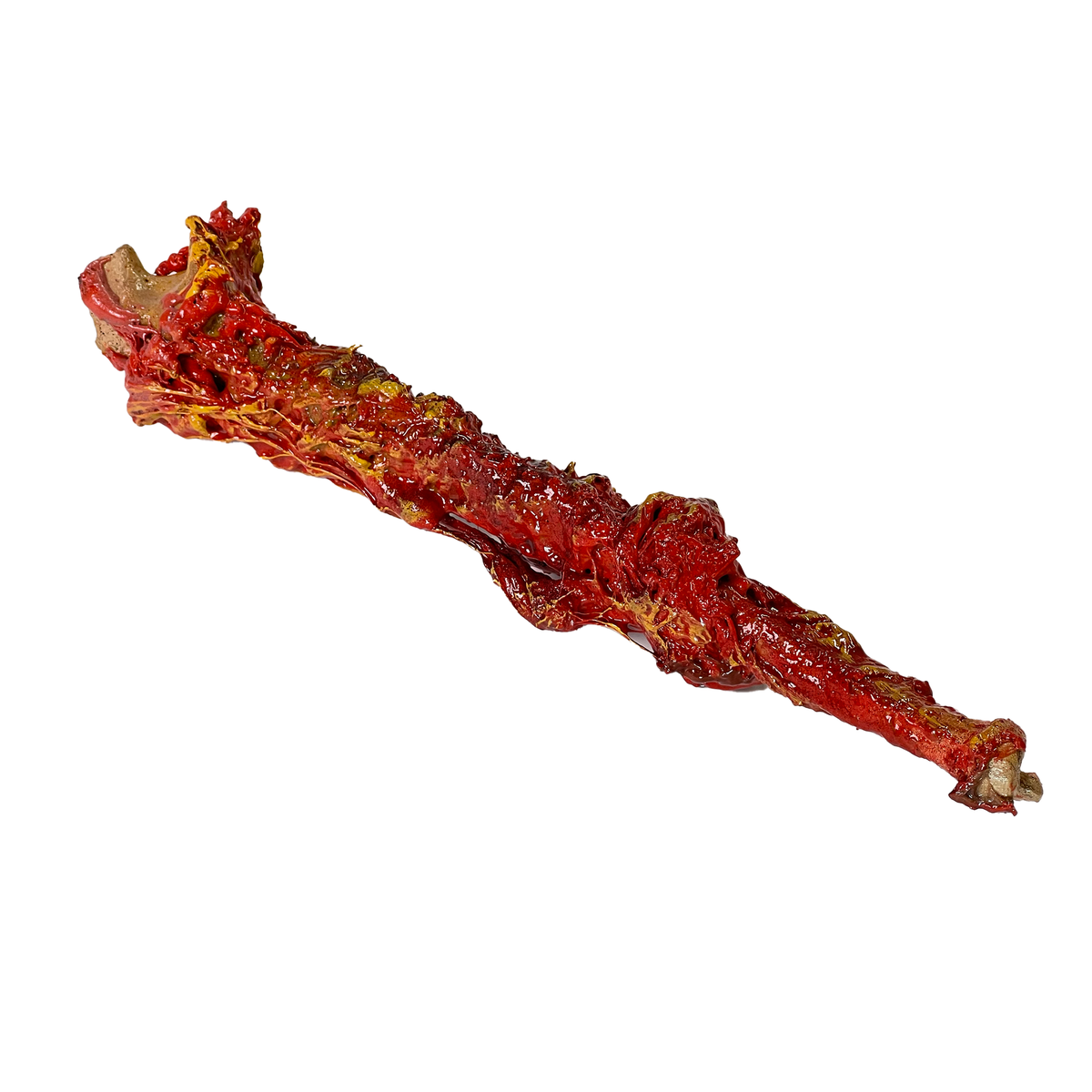 Realistic Ulna Bone Lightweight Rigid Foam - with Light Gore Effects - Prop Money Inc.