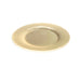 SMASHProps Breakaway Large Dinner Plate - Prop Money Inc.